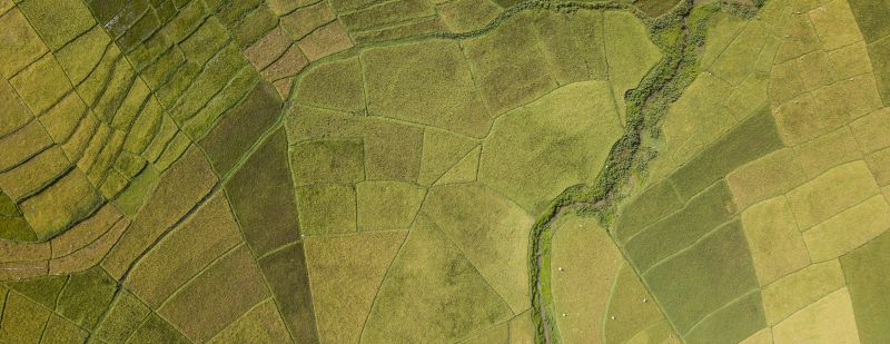 Aerial view of green field © Michal - stock.adobe.com