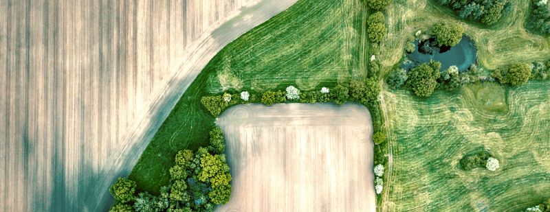 Luftbildaufnahme von landwirtschaftlich genutztem Feld © istock/golero